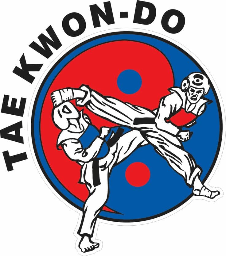 Taekwondo Martial Arts